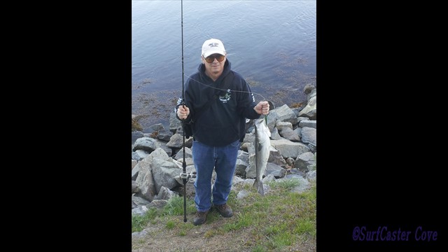 First Striper 2013-05-01 18.16.49