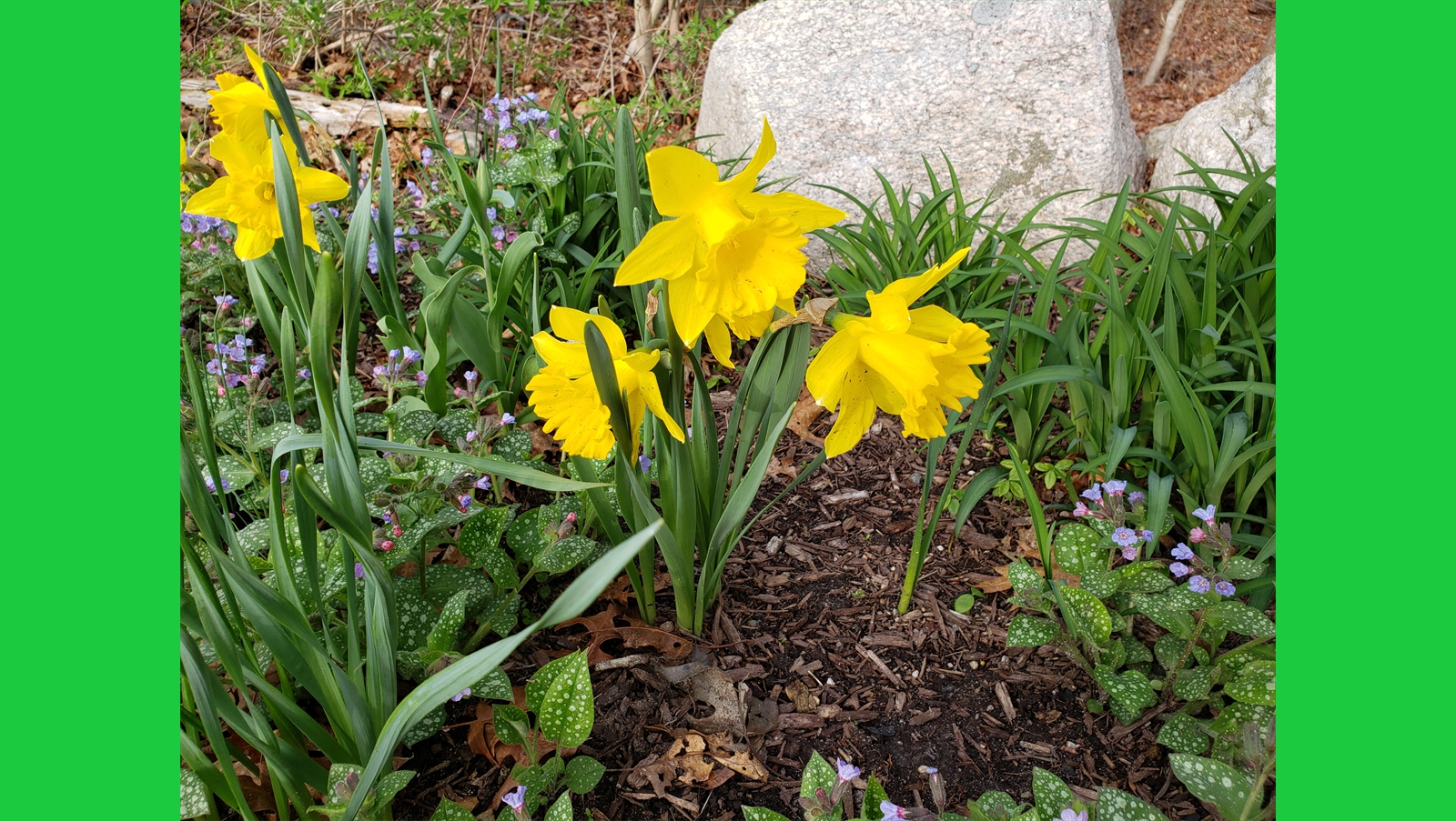 20190425_174651