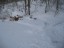 NemoIMG_5789