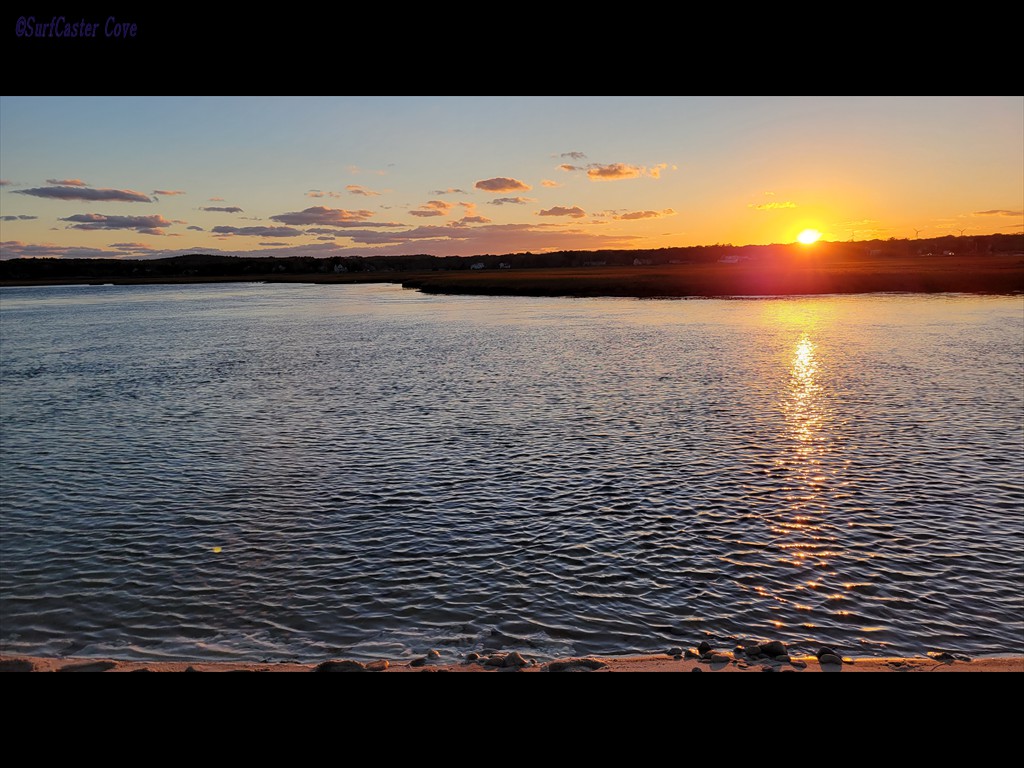 20221019_174423